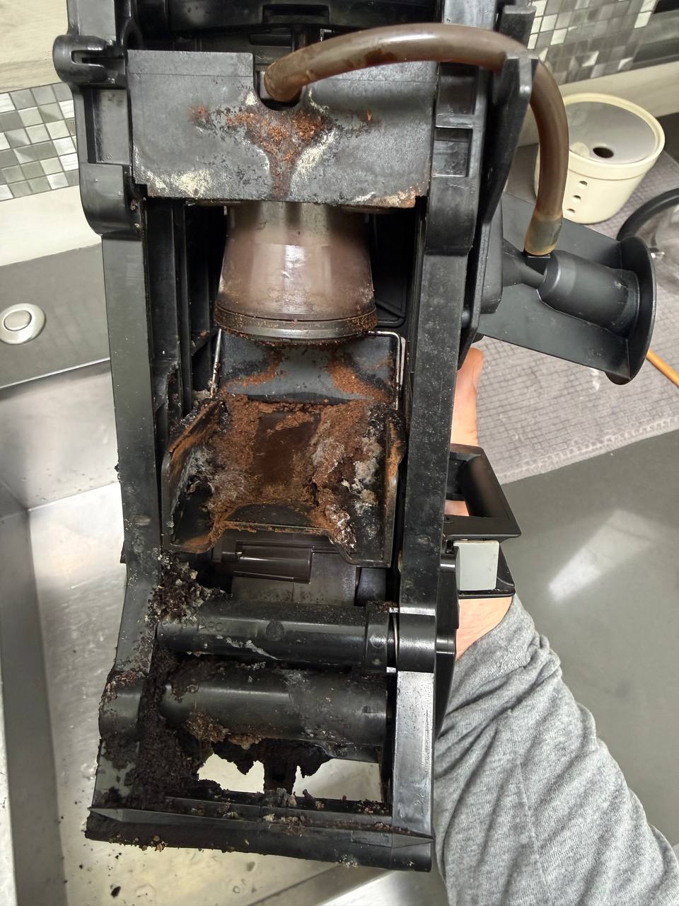 Job photo from Miele CVA6805 Built-In Coffee Machine Deep Clean in Alamo