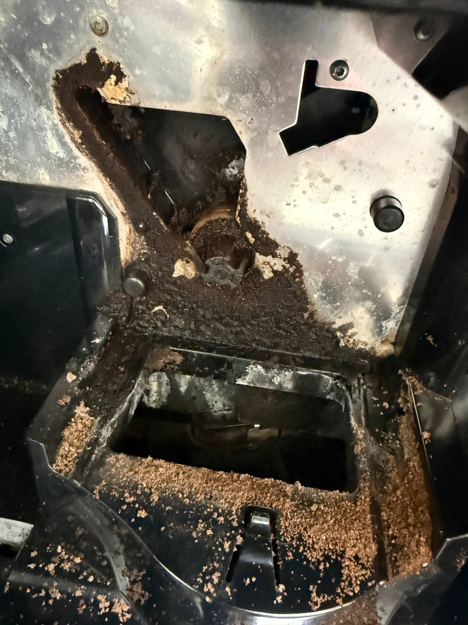 Job photo from Miele CVA6805 Built-In Coffee Machine Deep Clean in Alamo